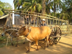 cambodia-445_1280